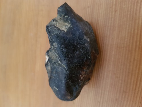 20190910_122613.jpg