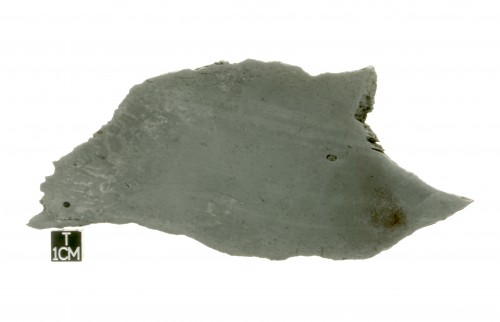 Chinga 146g10 vue face avant.JPG