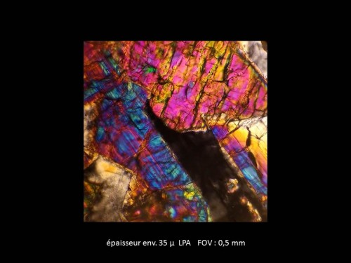 gabbro8.jpg