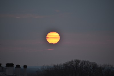 DSC_0009.JPG