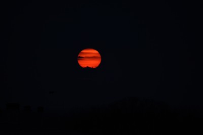 DSC_0008.JPG