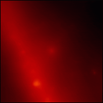 lat_221009a_burst_opt_720.gif