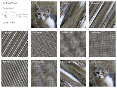 Fig_Arnold_Mosaique.png
