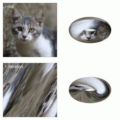 ChatArnold-150-tore-Movie.gif