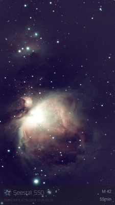 1735252171428.jpg