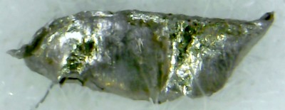 [Group 0]-Photo le 15-11-2025 à 10.48 #2_Photo le 15-11-2025 à 10.48-2 images.jpg