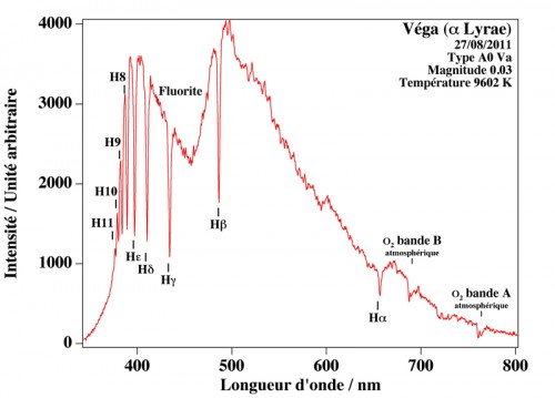 Vega.jpg