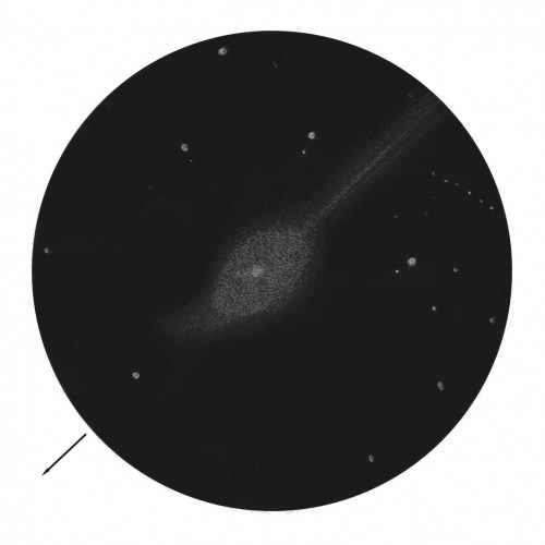 lulin-rond.jpg