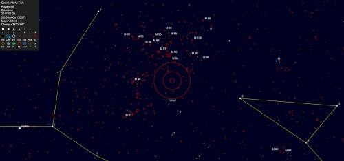 Champ de fleurs dans la Vierge