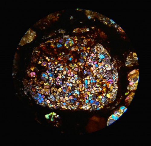 NWA10672_c.jpg